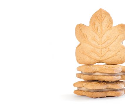 iStock-1332332748